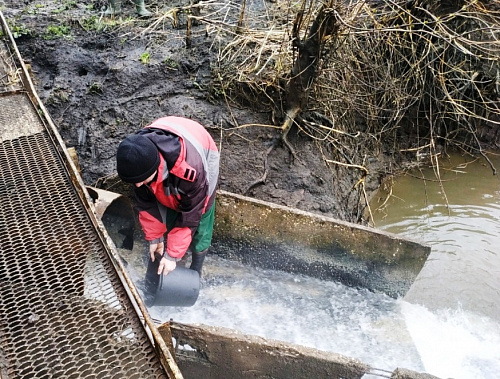 Спиртзавод «Кемлянский» по требованию Росприроднадзора возместил ущерб, причиненный водным объектам Республики Мордовия